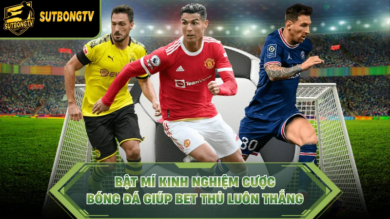 Kinh Nghiệm Cược Bóng Đá