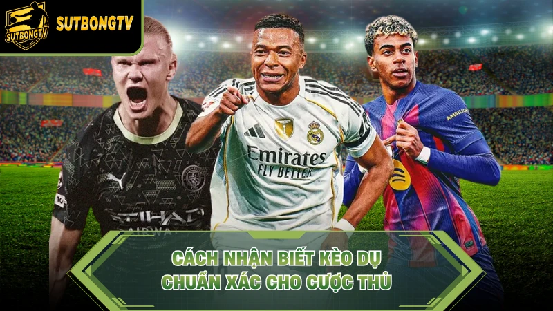 Cách Nhận Biết Kèo Dụ