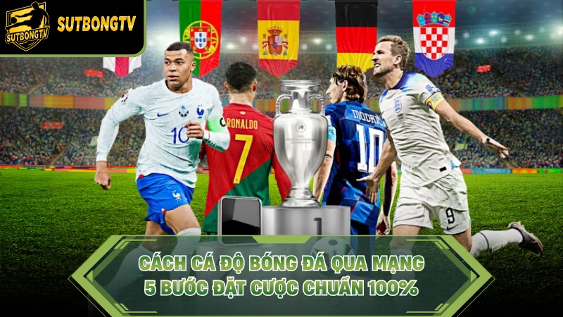 Cách Cá Độ Bóng Đá Qua Mạng